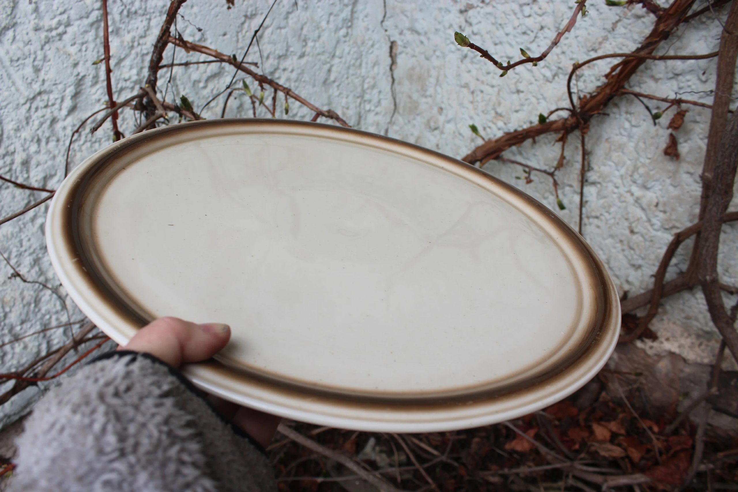 Simple cream-colored ceramic dinner plate - View 2