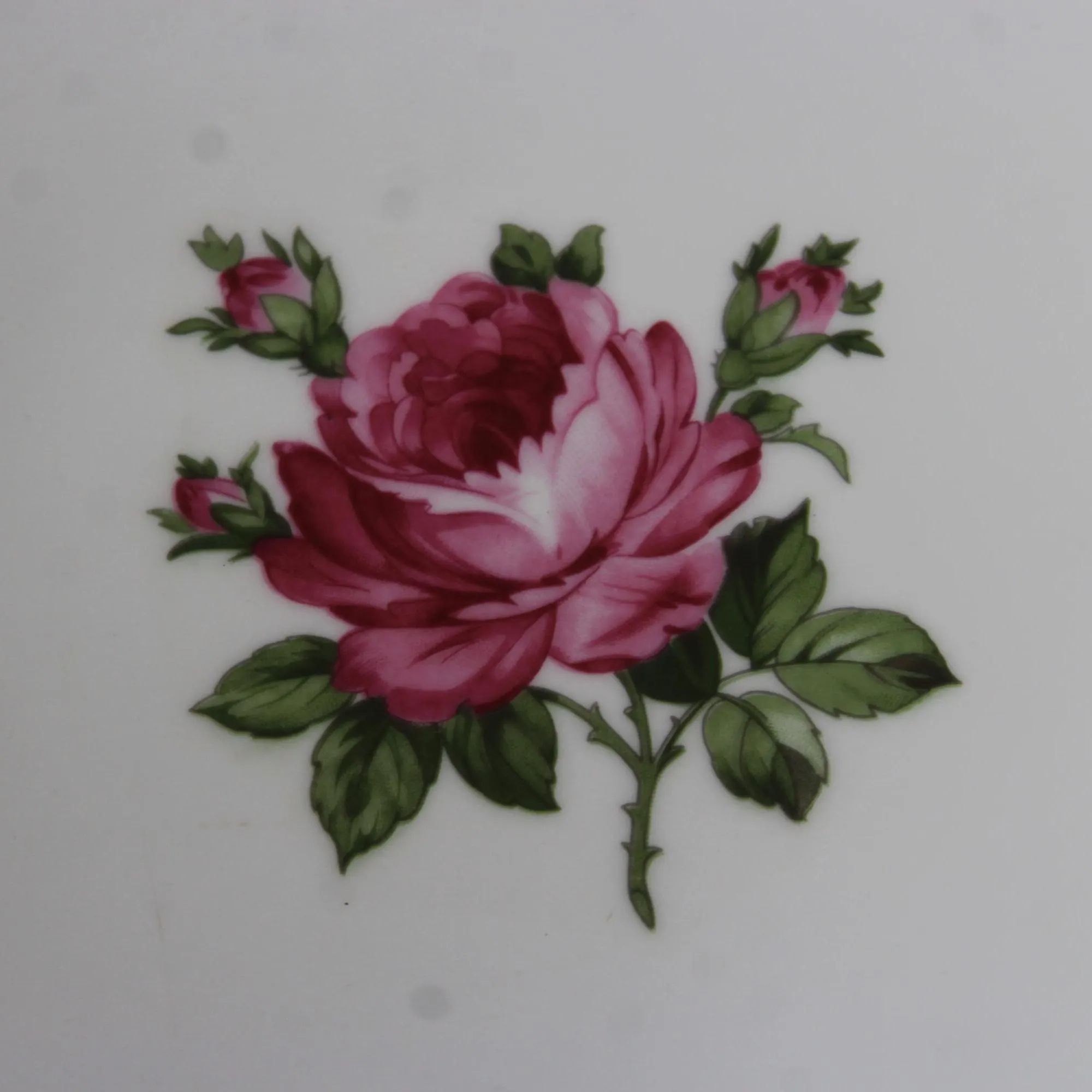 Pearl Rose Oval Ceramic Dinner Plate - View 3