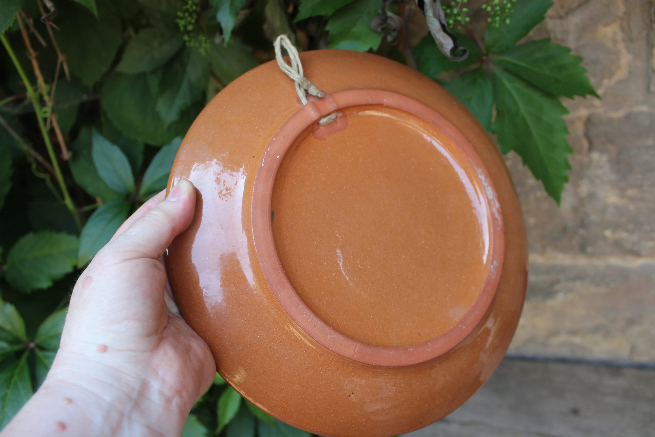 Vintage Blue Daisy Ceramic Decorative Plate - View 3